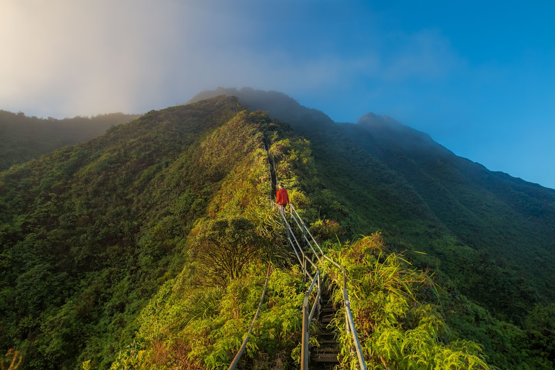 Photo Hawaiian landscape